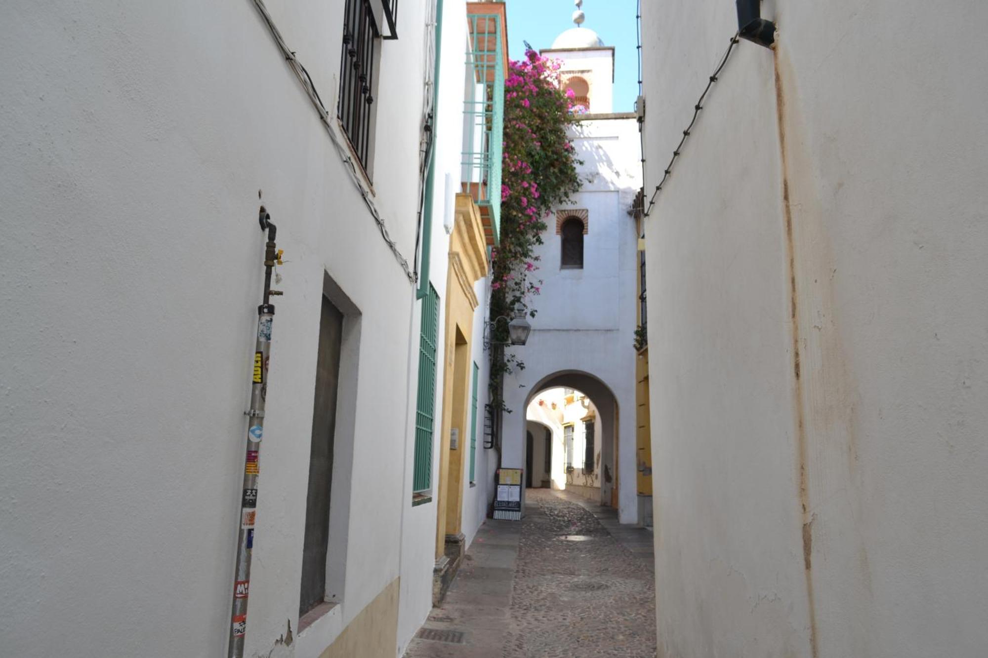 Apartamento Sunshine Patio De La Hoguera Córdoba Exterior foto