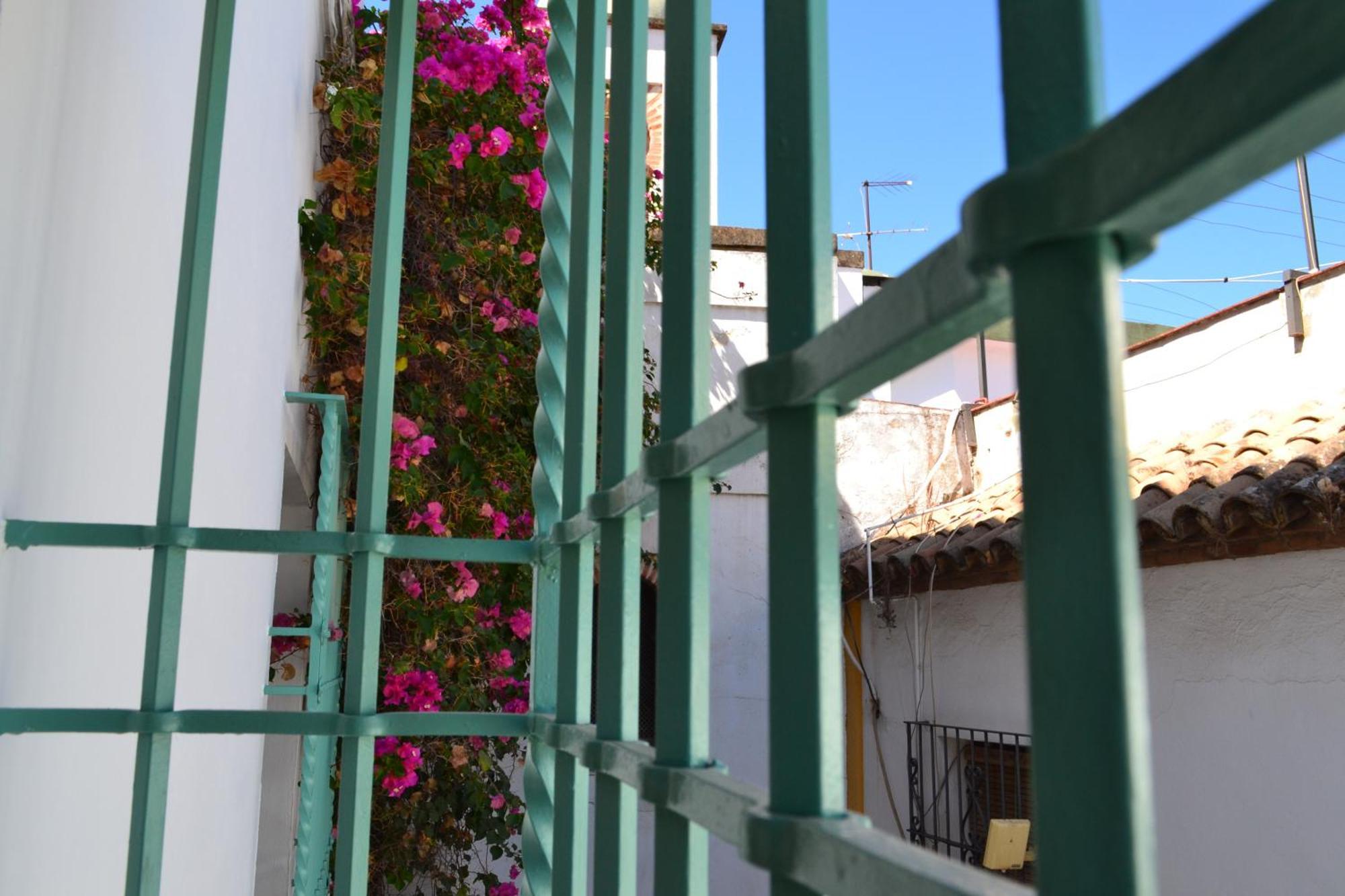 Apartamento Sunshine Patio De La Hoguera Córdoba Exterior foto